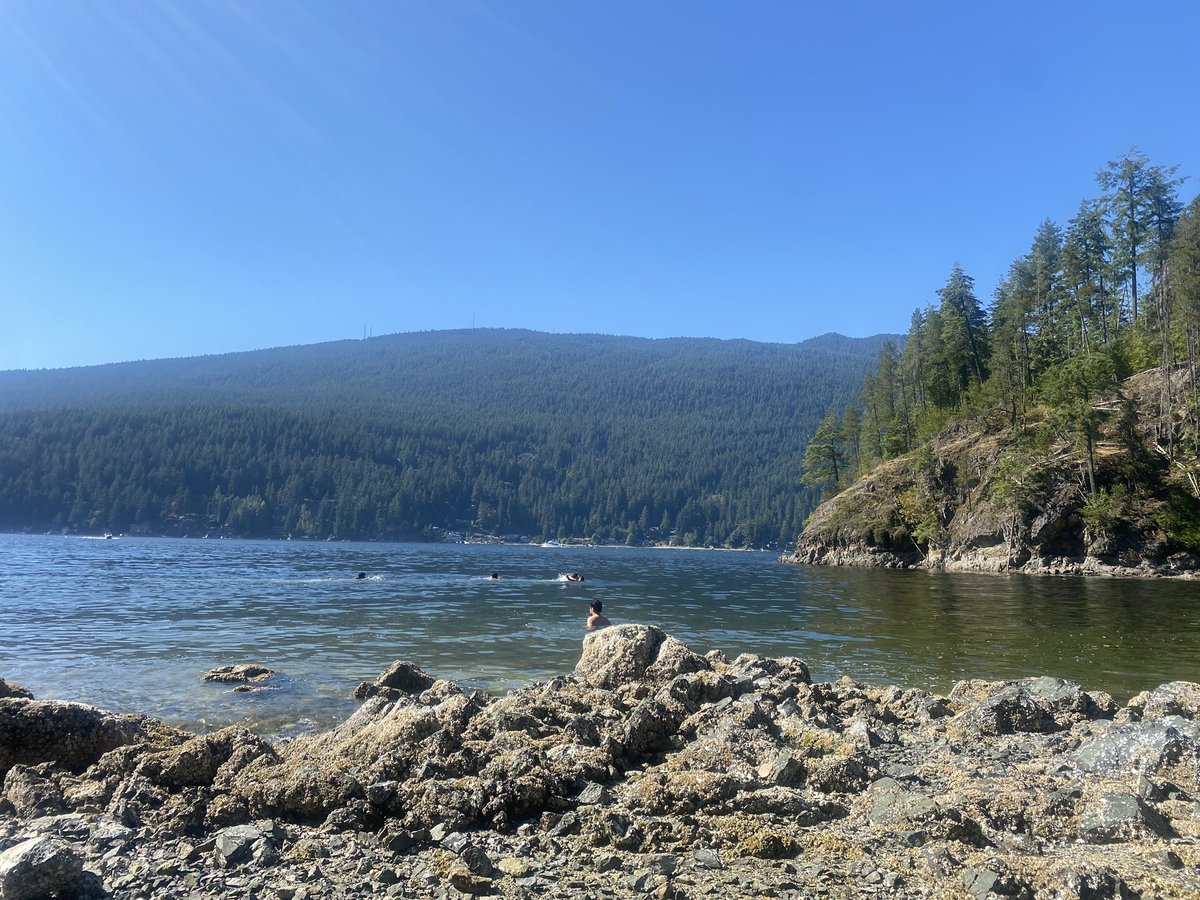 Dr. Abigail Ackerman 🦥 tweet media