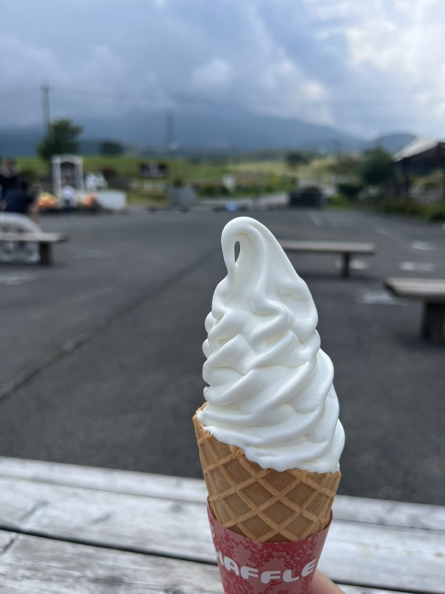 maxpoweracc's tweet photo. 大笹牧場は晴れてるけど来るまでに少し雨に降られた🤏
＃vfr800f
＃ひまわり 
＃ソフトクリーム https://t.co/AyLi8YujyR