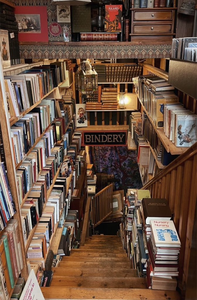 Eva (is practising anarchist calisthenics) tweet media