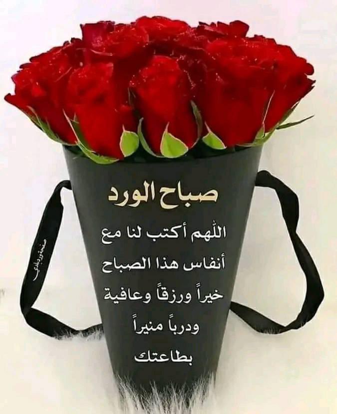 ah_064's tweet photo. @AmrElna8 @elnaggaramr412 صياحك الورد 🌸🌼🌷 https://t.co/s6gm6ewU99