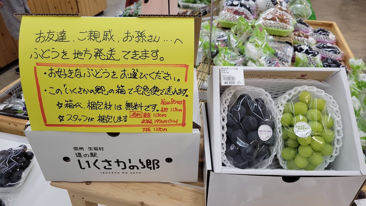 生坂村の🍇ぶどうシーズン開幕週 4人の葡萄農家さんが出荷してくれまし