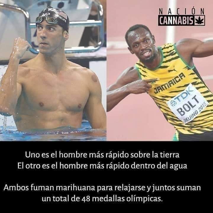 Charly Grown (@charlygrown) on Twitter photo 