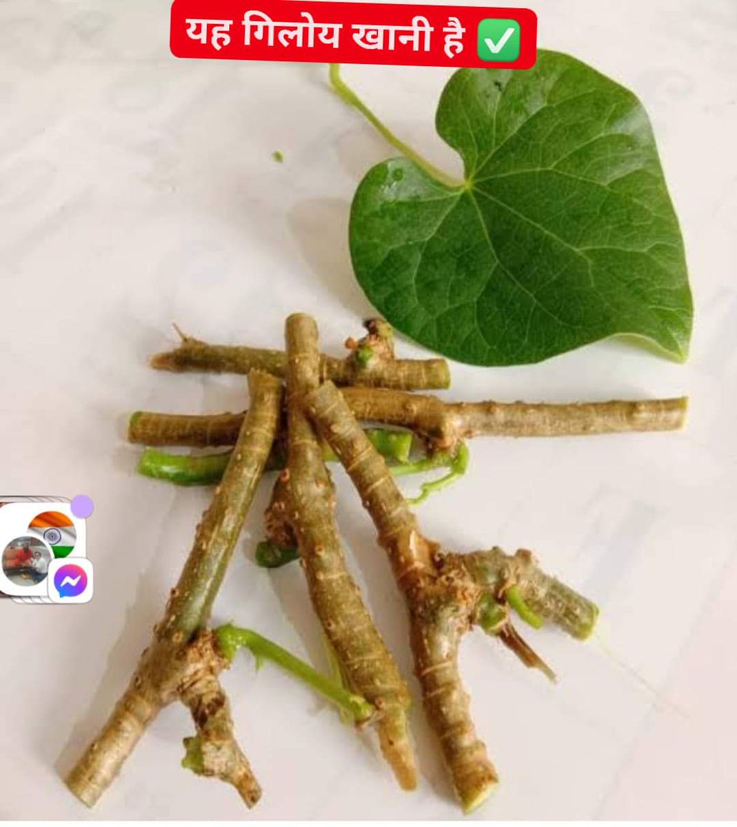 Anand_arya246's tweet photo. आयुर्वेद शिरोमणि श्रद्धेय आचार्य @Ach_Balkrishna जन्मदिन की सबको हार्दिक मंगलकामनाएं !
आइए इस धरा को बचाने के लिए पेड़ लगाने का संकल्प लें !
कम से कम अपने घर में एलोवेरा, तुलसी, गिलोय, पत्थरचट्टा,अश्वगंधा लगाकर मोटापा पथरी दूर करें और इम्यून सिस्टम को बूस्ट करें।
#जड़ीबूटी_दिवस https://t.co/X3R3PqjmBP