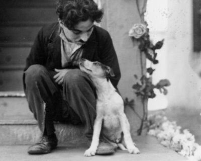 İnsan anlaşıldığı yerde var oluyor, sevildiği yerde çiçek açıyor, değer gördüğü yerde gelişiyor ve en çok kendini bulduklarına bağlanıyor. Bazen bir söz, bazen bir şarkı, bazen de bir insan ya da hayvan..

..ne olduğu önemli değil. Önemli olan onda kendimizi bulmamız.