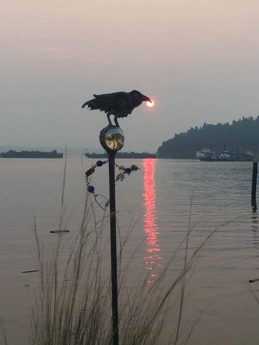 Raven stealing the Sun
via Gus Modeste