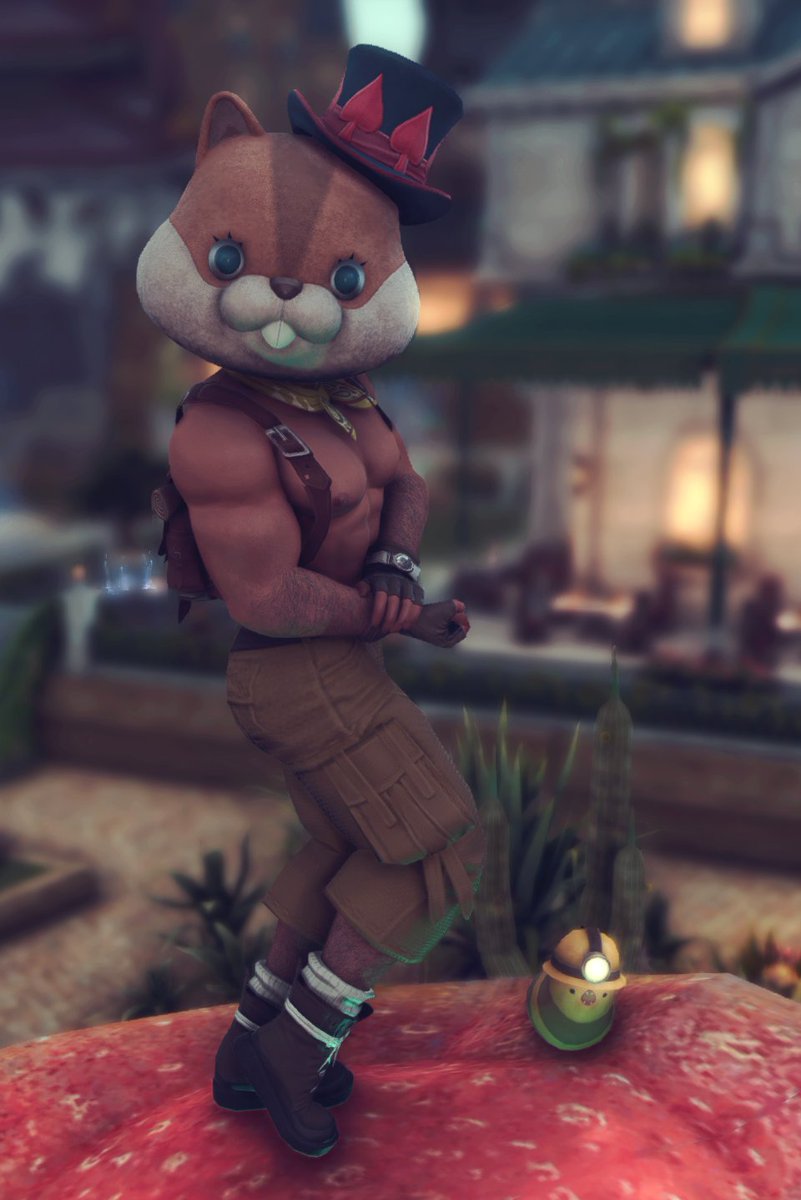 Soreaf1's tweet image. This isn't anything of consequence...its just funny lmao