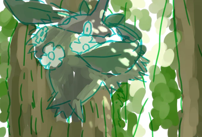 ラフ 