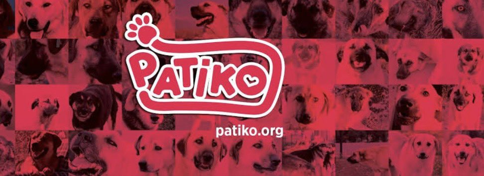 Patiko olarak bir süre buradan devam edeceğiz…..