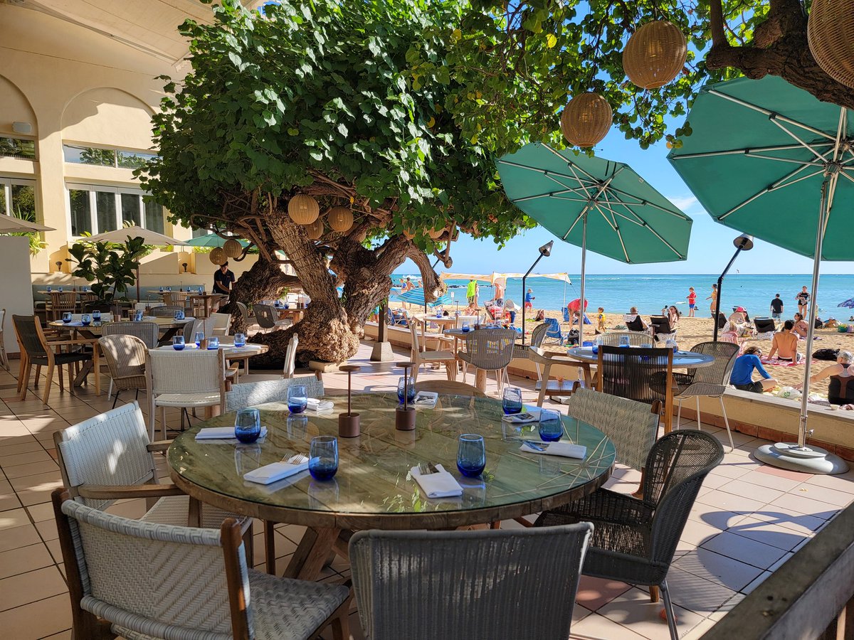 Day four in #Hawaii, our last before we move onto #Fiji. 

We took a trolly tour up the coast, went for a walk along the beach, and visited the Waikiki Acqarium, then ended the day with a sunset dinner at Hau Tree Restaurant. Yum. 

Goodbye Oahu (for now)