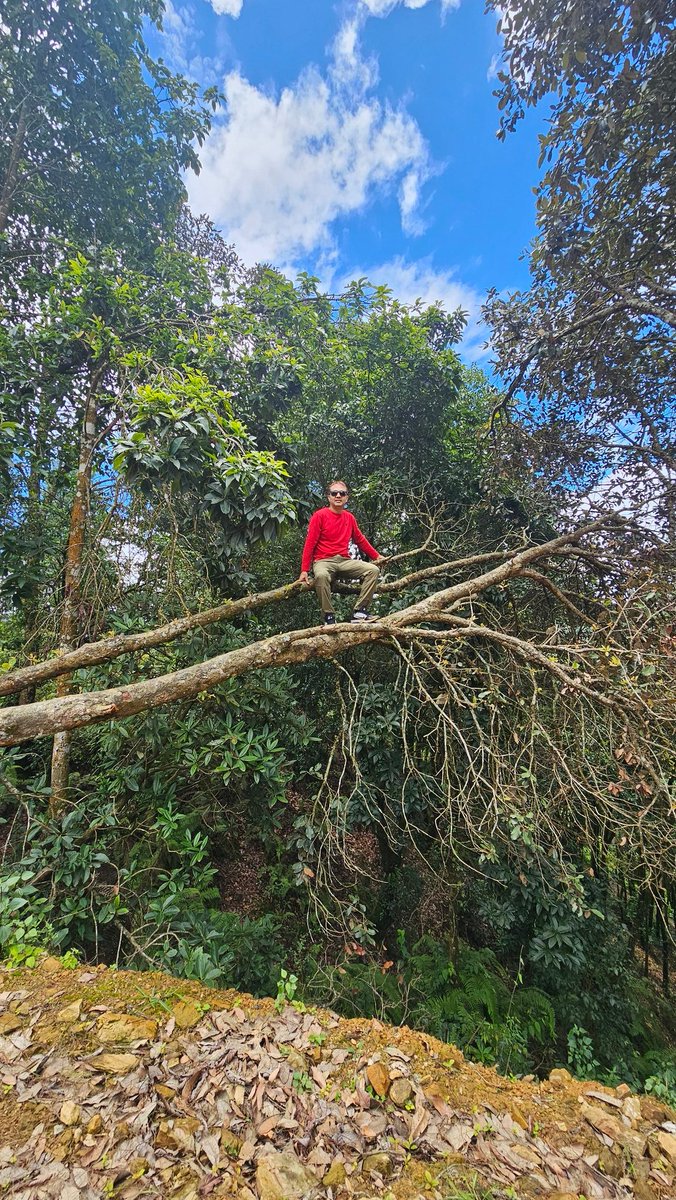 जंगल तिर घुम्न गएपछि यति उपद्रो त गर्नै पर्यो होइन ? 😂  #hiking #Ranikot #Lankuri