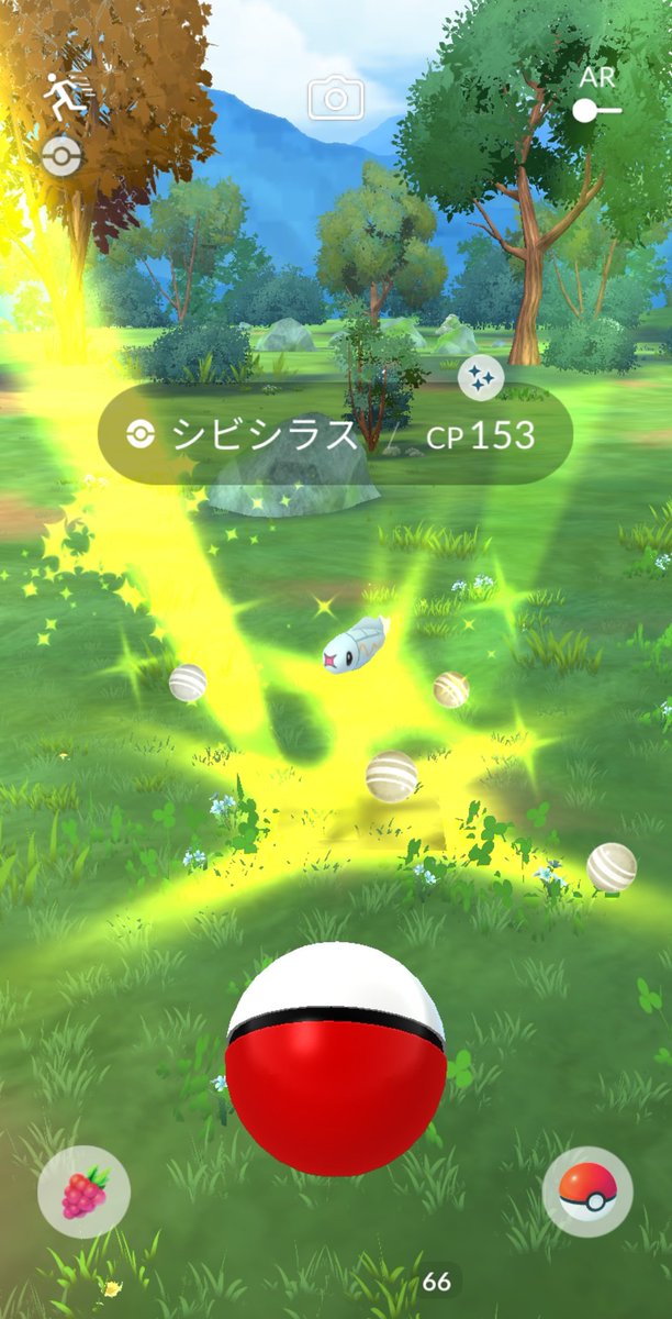 Karz_Eq's tweet photo. 忘れてたけどメダカもとれた。 https://t.co/oEFInAIpqi
