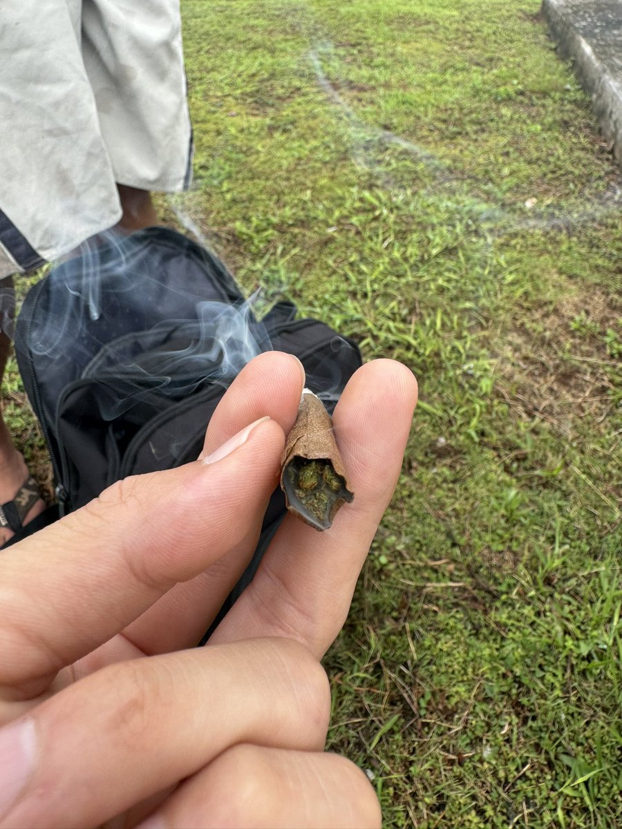 Second Life CBD tweet media