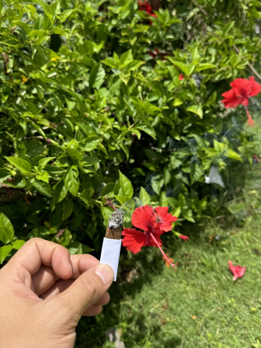 Second Life CBD tweet media