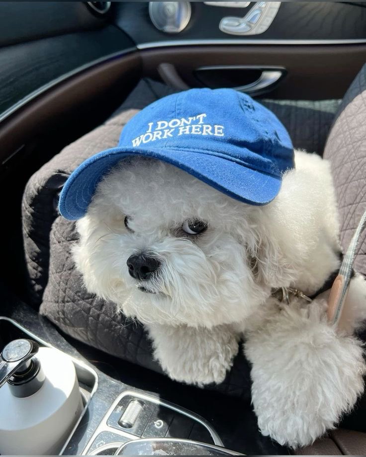 💙
