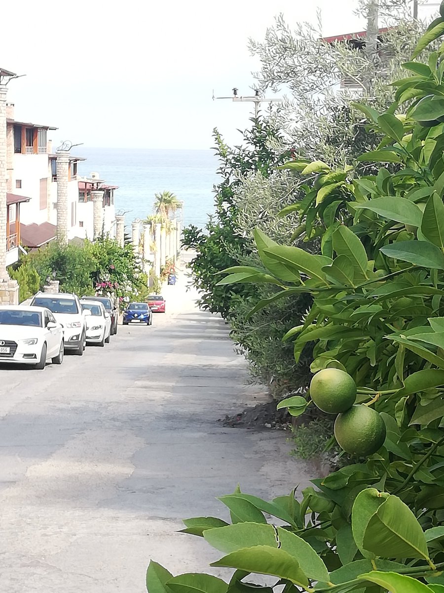 All the way leads to the sea in my hometown Alexandretta