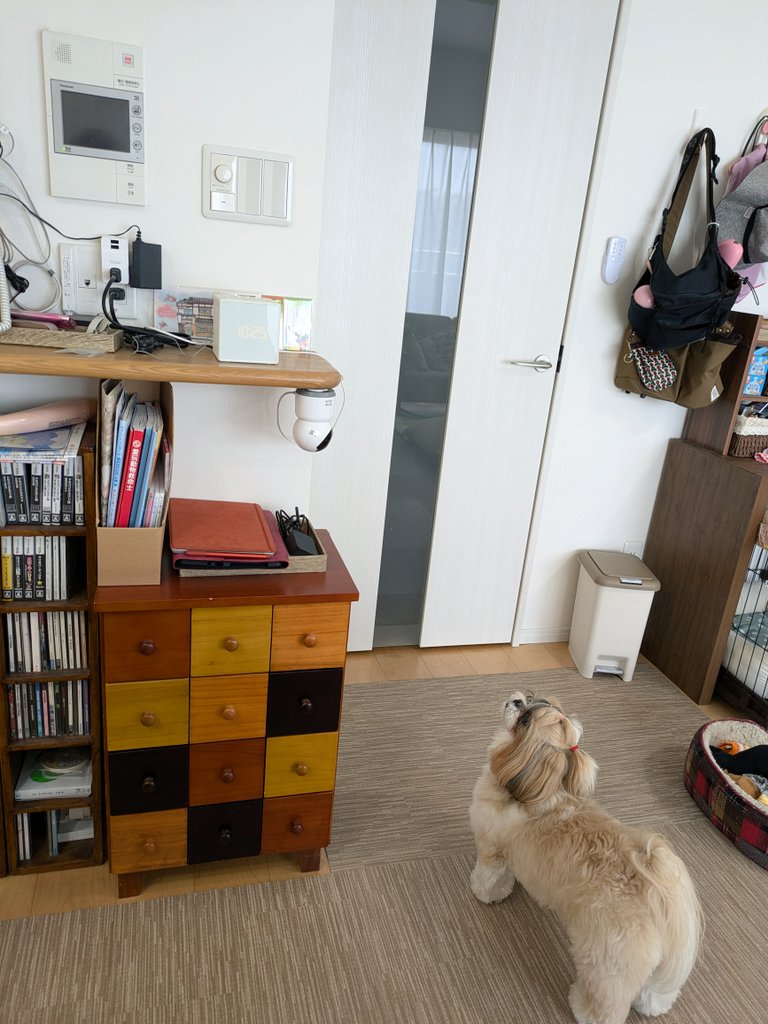 こなつのおかん tweet media