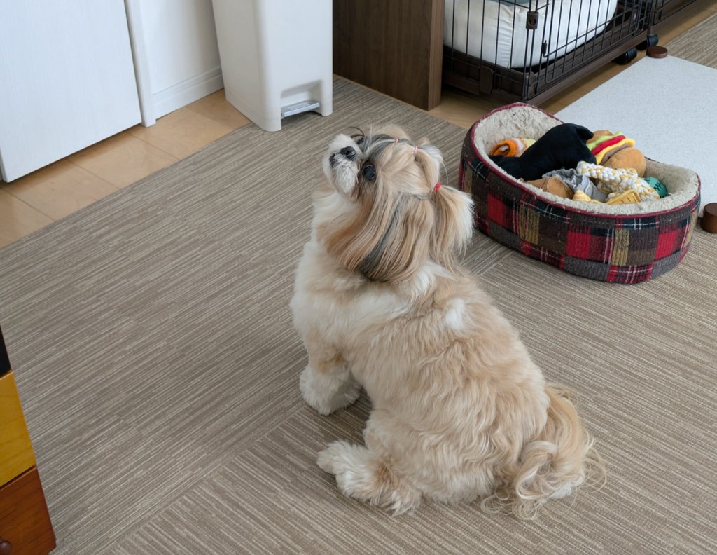 こなつのおかん tweet media