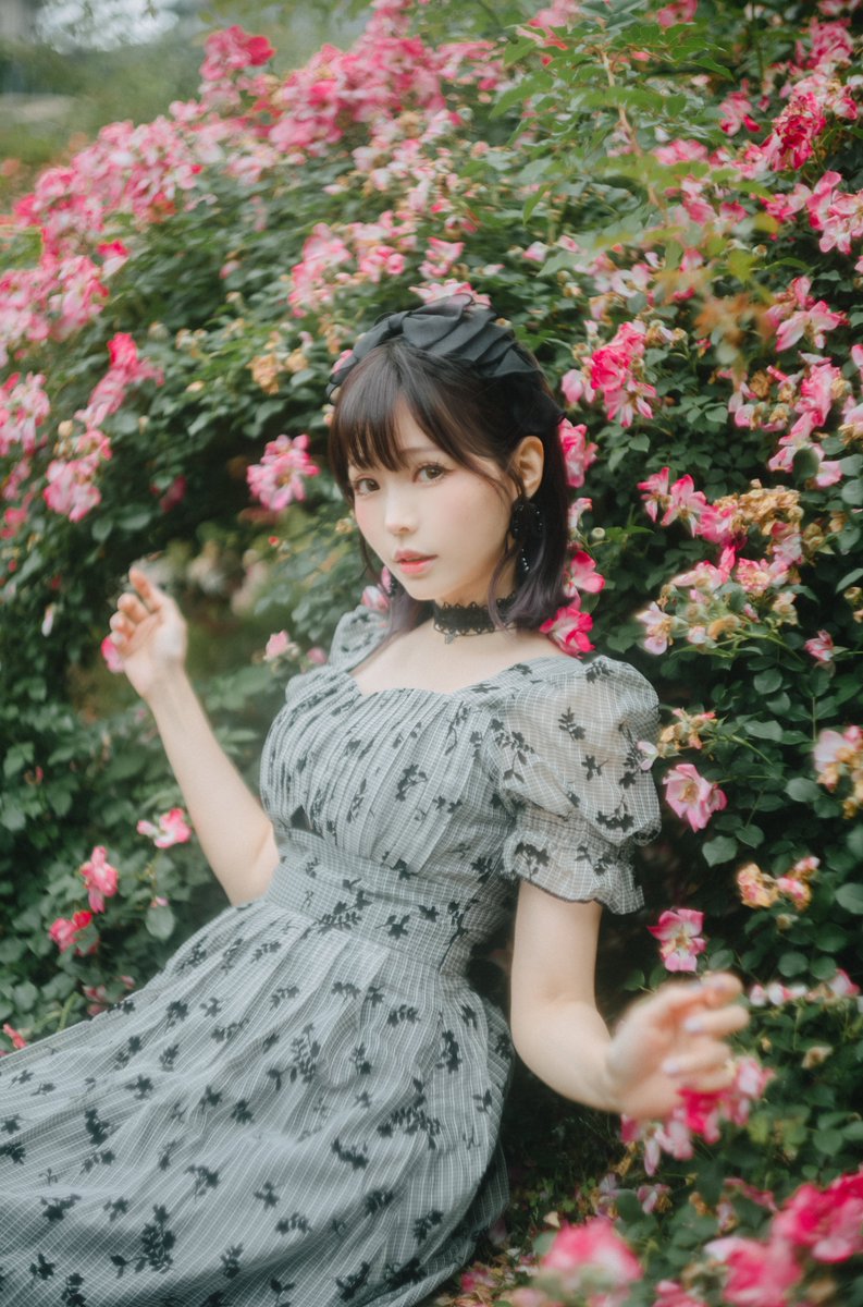 The flowers in my heart are quietly blooming✿

心の中の花もひっそりと咲いています✿ https://t.co/fMInbA4ZQH
