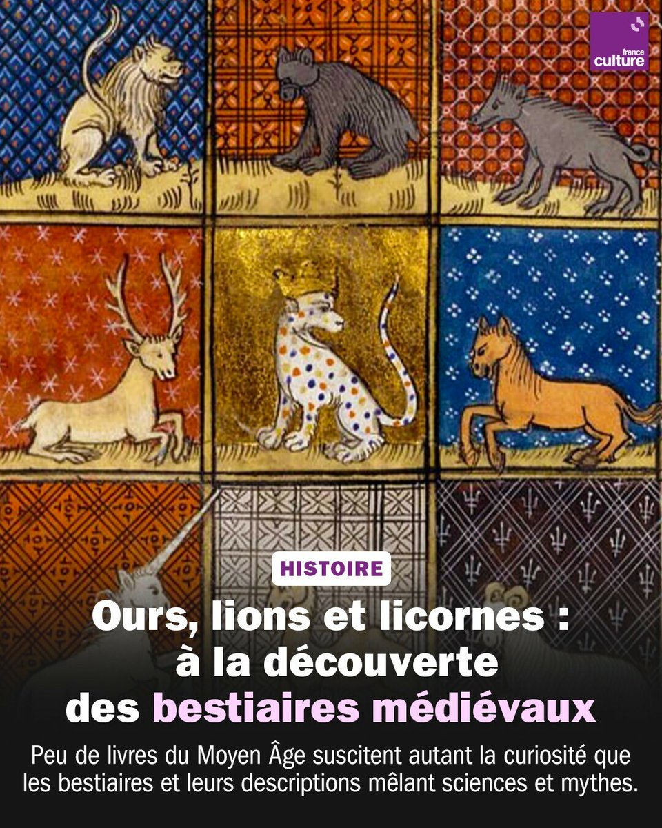 Ces recueils de curiosités sont des fenêtres ouvertes sur l'esprit et l'imaginaire du Moyen Âge.
 ➡️ l.franceculture.fr/5Xq