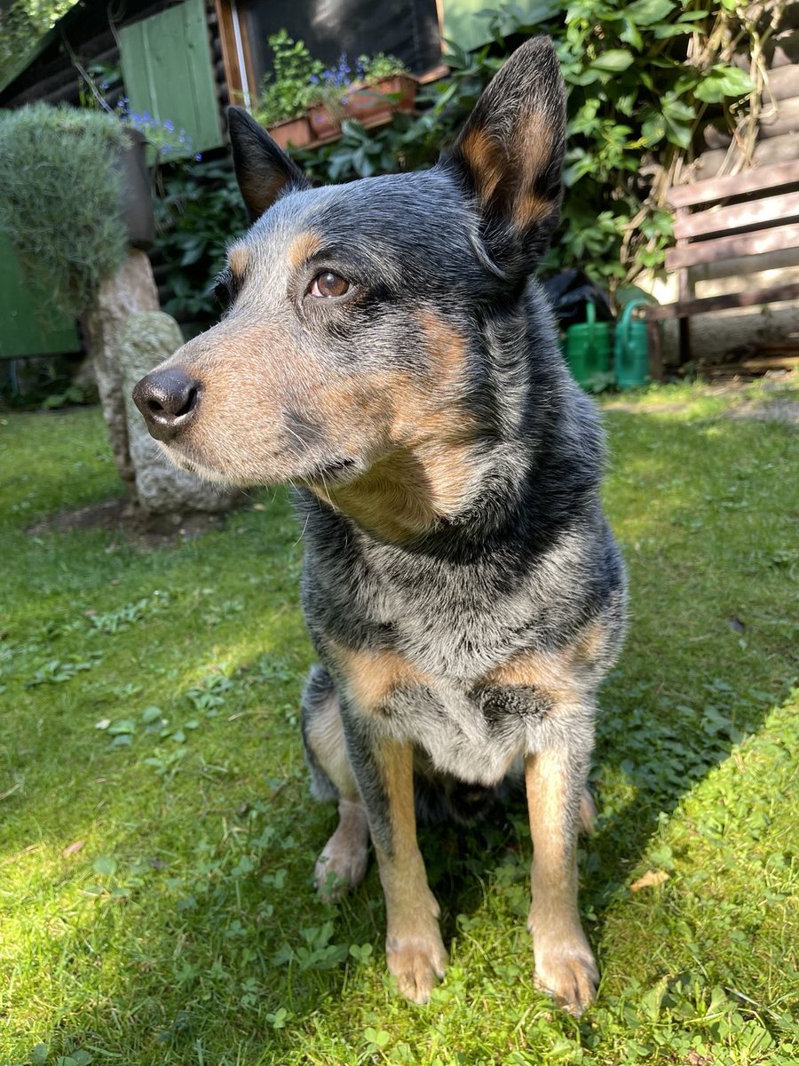 Charlotte116444's tweet photo. Ráno. #GoodmorningtTwitterWorld #honak #acd https://t.co/FOqiqglgGz