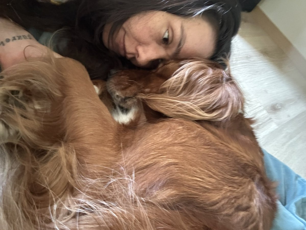 kafa kafays verdik mi çözemeyeceğim problem yok 🤎 Roma