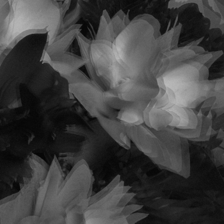 𝓗elena. tweet media