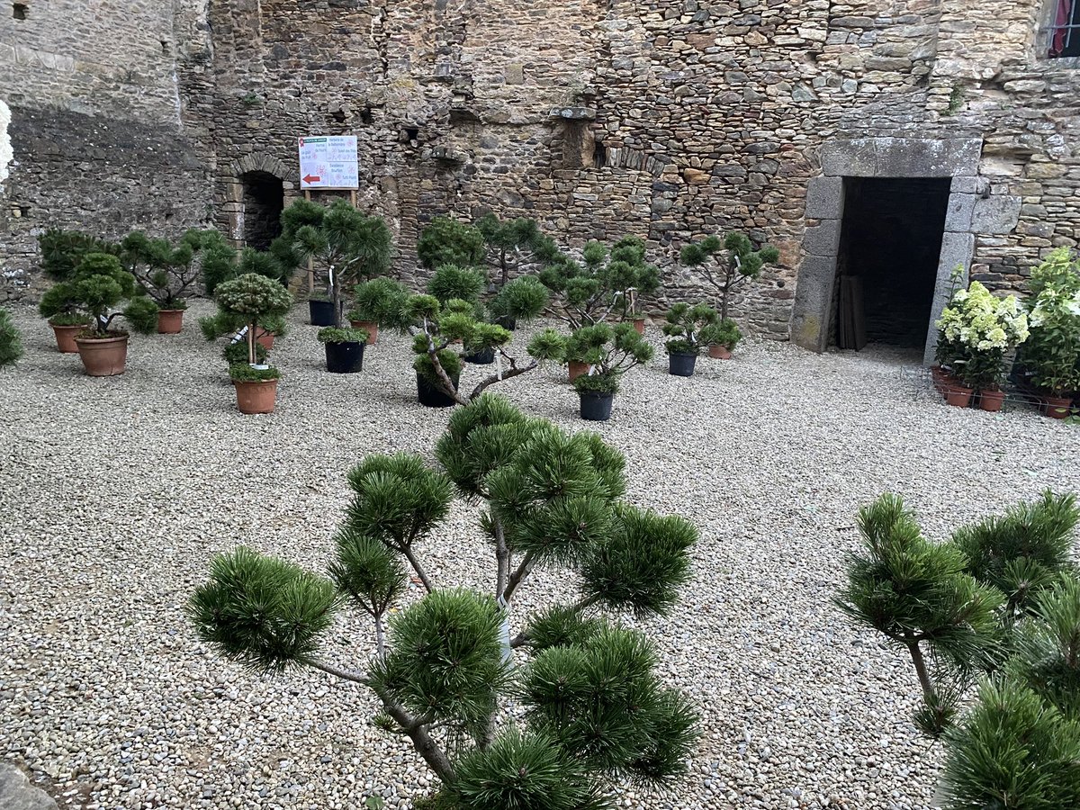 🌱A propos de jardin c’est aujourd’hui de 10:00 à 19:00. Amoureux du jardin, curieux, visiteurs voulant découvrir le Château sous un angle on vous attend 🌸🌹🏰