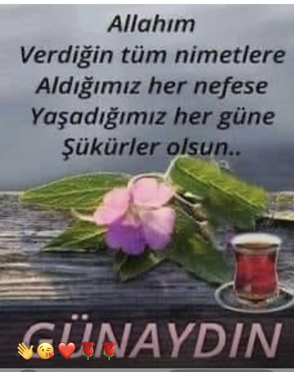 Ziya Peker (@zpeker13) on Twitter photo 