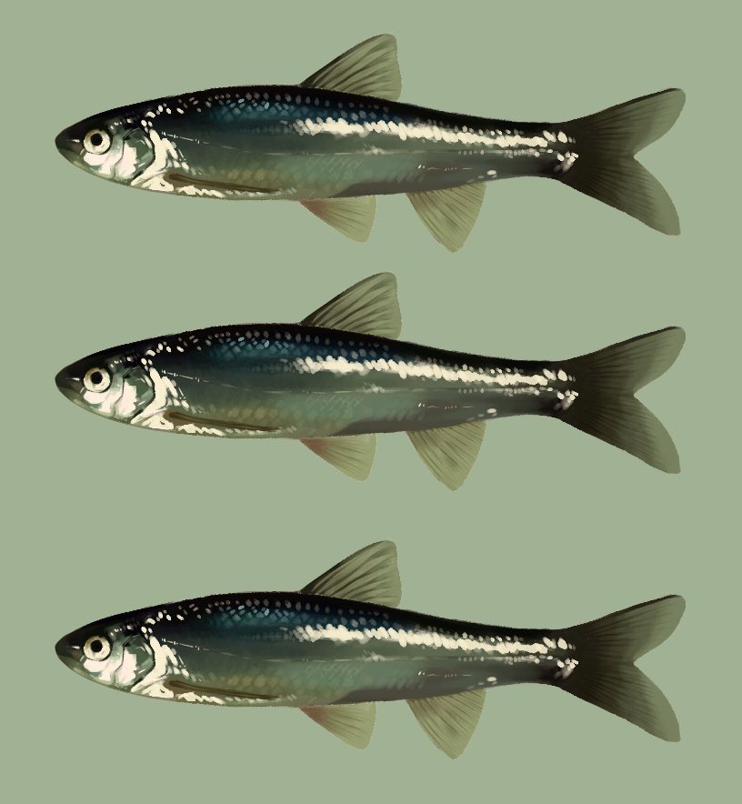 주기적 트위터 먼지 털기 시즌