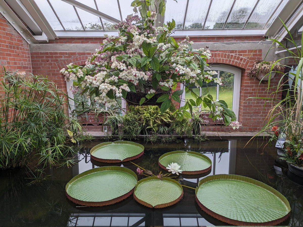 Hayley Thurrat tweet media