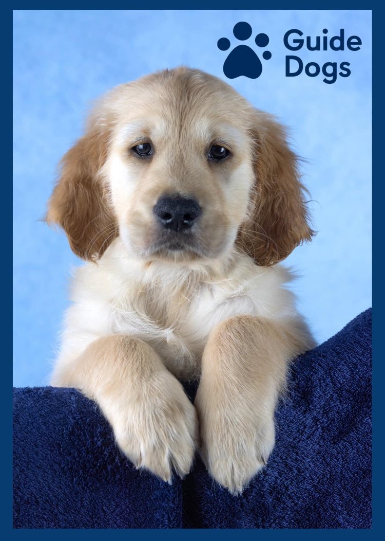 Bradgate Rotary Club (@bradgaterotary) on Twitter photo A few weeks ago we announced that we had raised over £3000 at our Bark in the Park event on 12th May for Guide Dogs.
Let us introduce you to Linford. We hope in time he’ll make a huge difference to someone’s life.
A big thank you to everyone  who made this possible  🙏🙏 A few weeks ago we announced that we had raised over £3000 at our Bark in the Park event on 12th May for Guide Dogs.
Let us introduce you to Linford. We hope in time he’ll make a huge difference to someone’s life.
A big thank you to everyone  who made this possible  🙏🙏