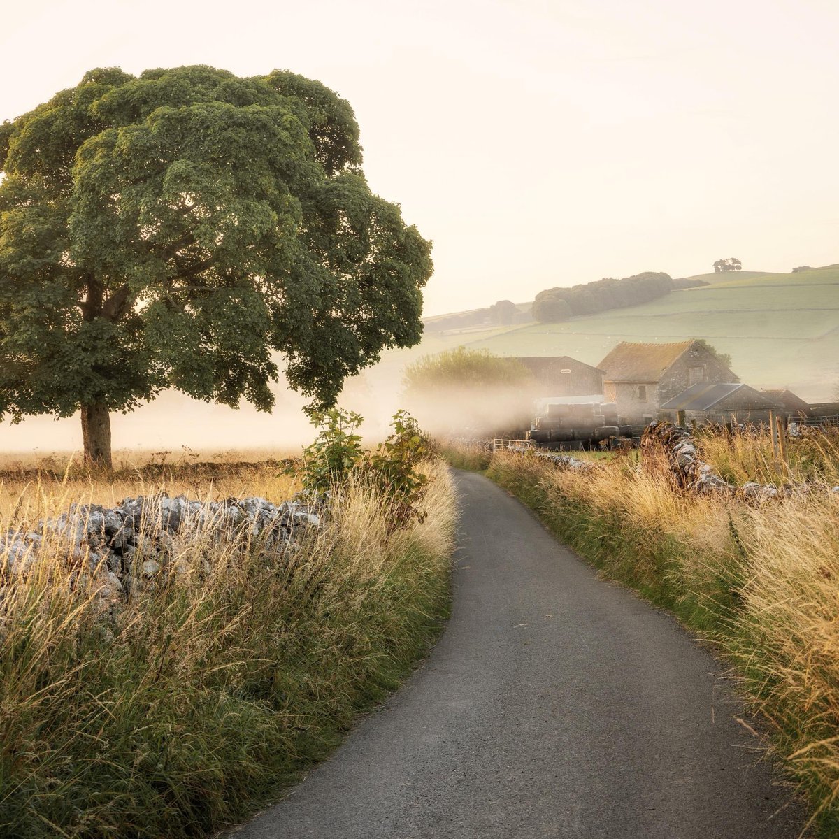 peaklass1's tweet photo. Perfect peace, waiting for the sunrise on #peakdistrict country lanes. There's an expectant hush, a cool freshness to the air before it warms for the day. Every single dawn is different to the one before; the play of light, shadow and mist never falls in just the same way again. https://t.co/lMg7gfxUmN
