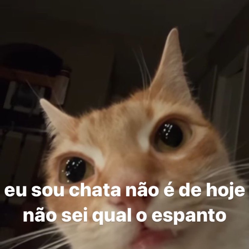 teu caos (@sobreteucaos) on Twitter photo 