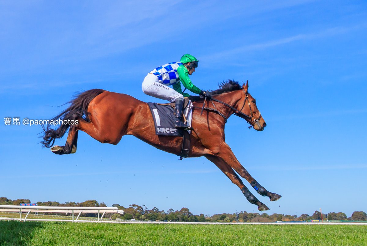 Grant Courtney tweet media