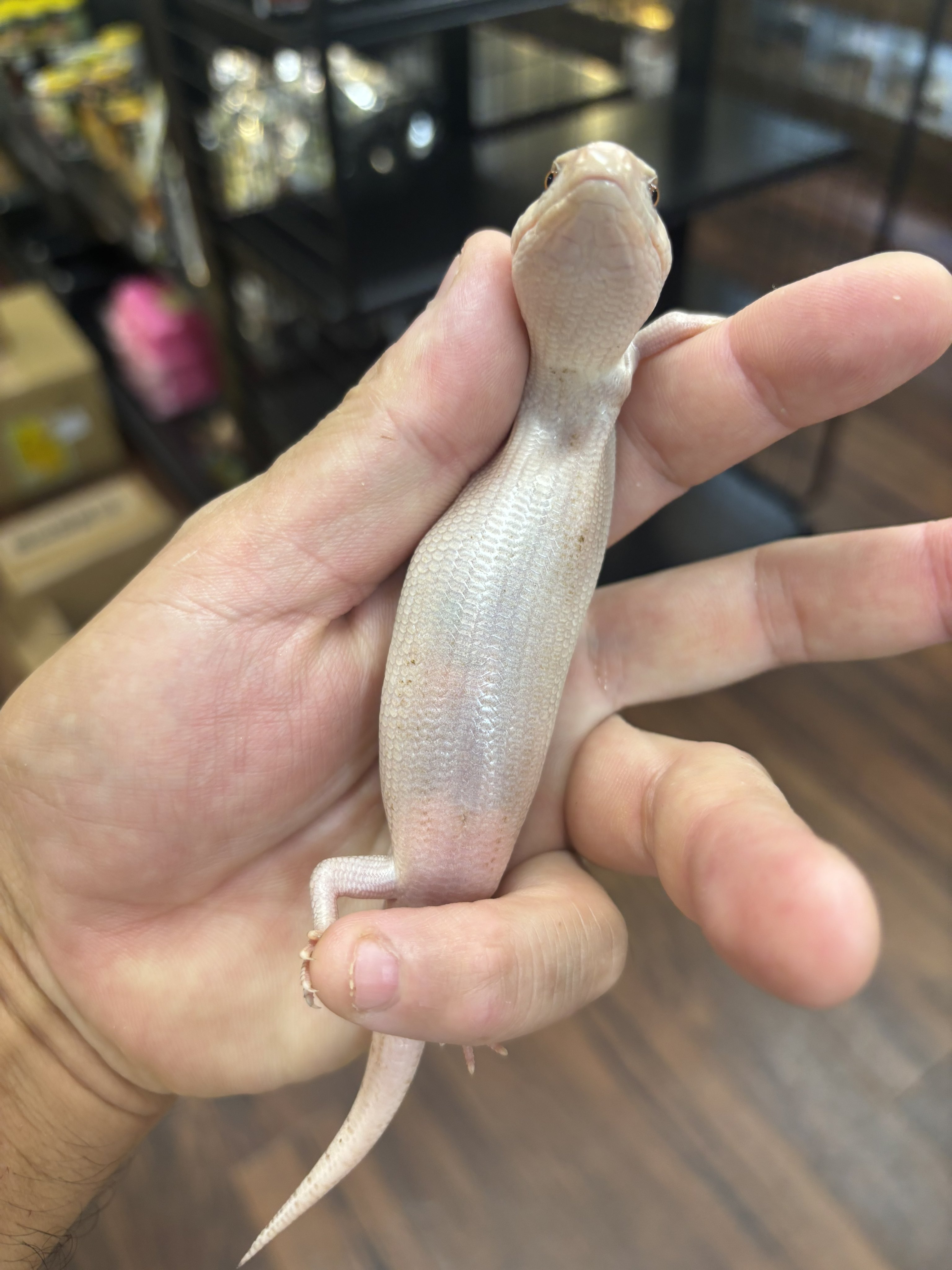 トゲピー nihonikuji ベビーゲート ベビーフェンス おくだけとおせんぼ