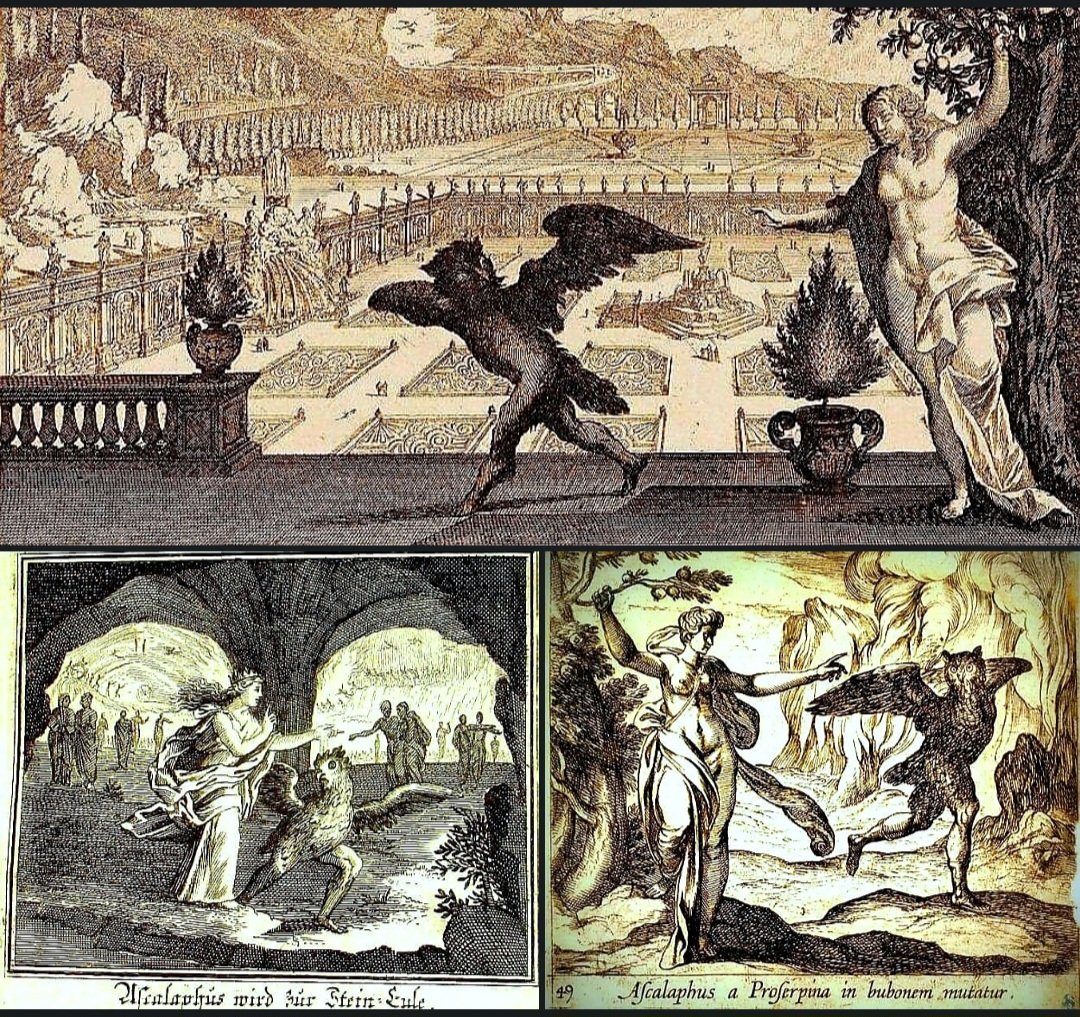 antinousgaygod's tweet photo. 🪷 4 Aug #OwlAwarenessDay We remember #Ascalaphus the demon boy who informed Hades #Persephone had eaten a pomegranate. #Demeter turned Ascalaphus into an owl. Ovid writes: "Poor Ascalaphus was punished for telling the truth when asked to do so." More: https://t.co/PJTpiHz8UT 🪷 https://t.co/G0Pk63DpKb