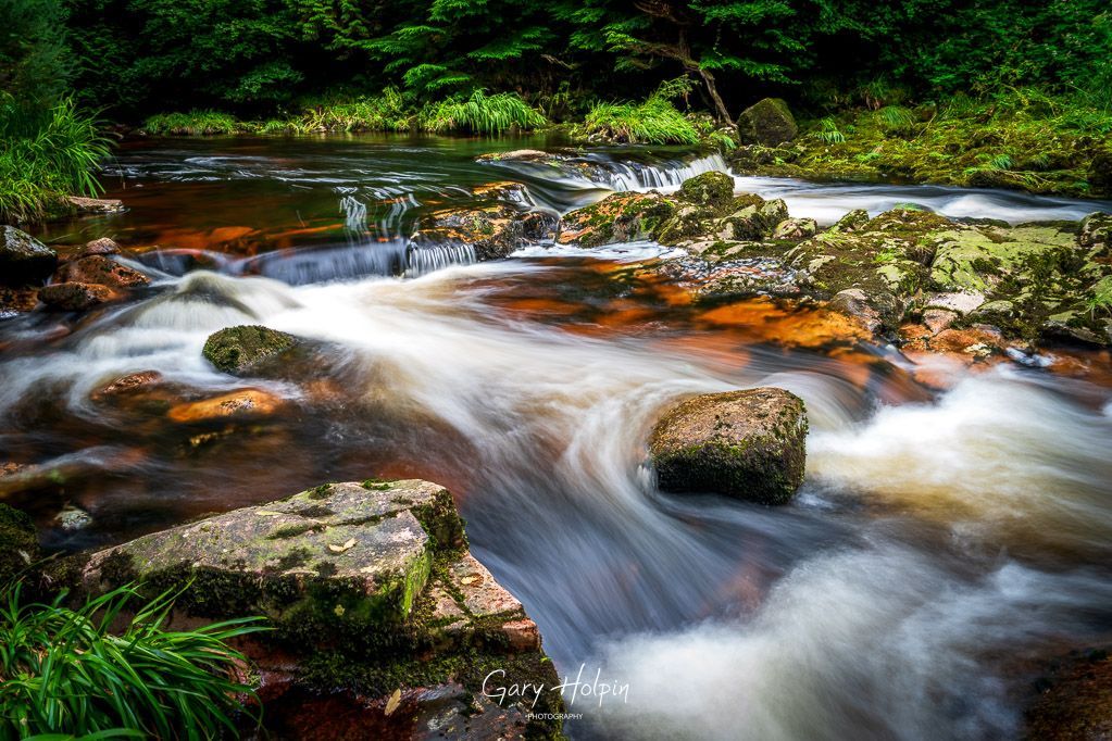 Gary Holpin | Photography tweet media