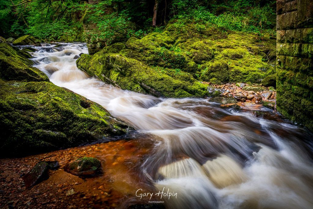 Gary Holpin | Photography tweet media