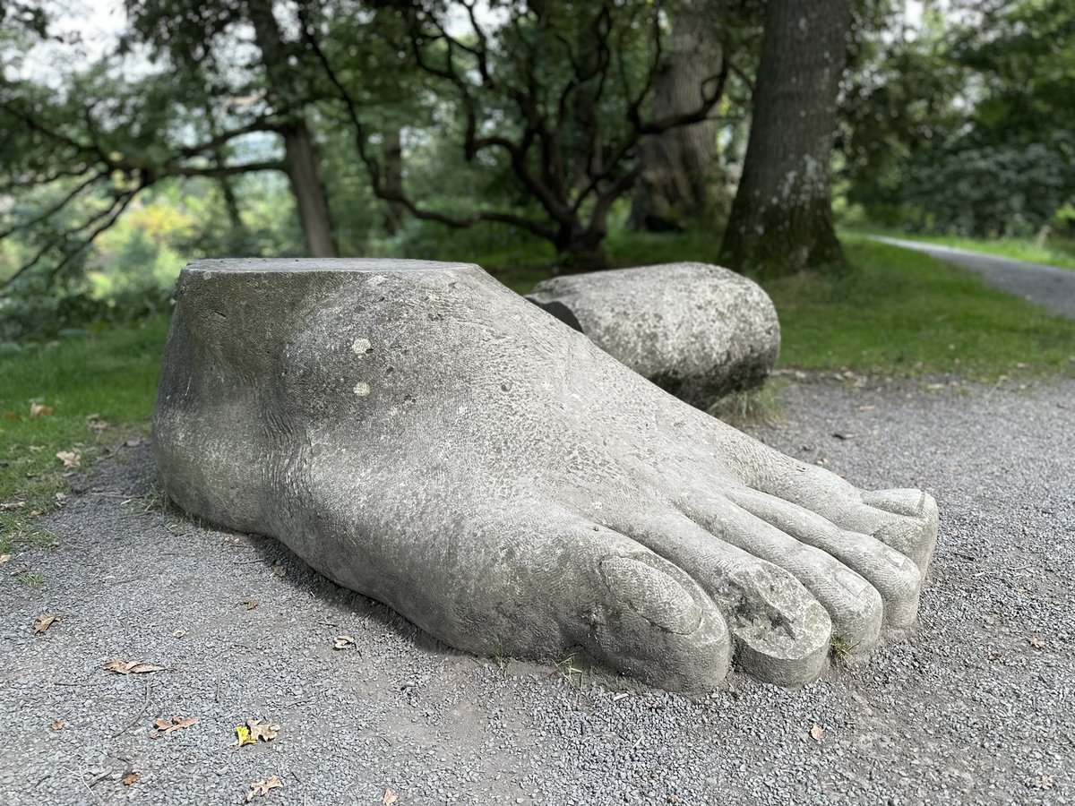 Frag Last 🙈🌳🇺🇦 🇵🇸🇬🇱 tweet media