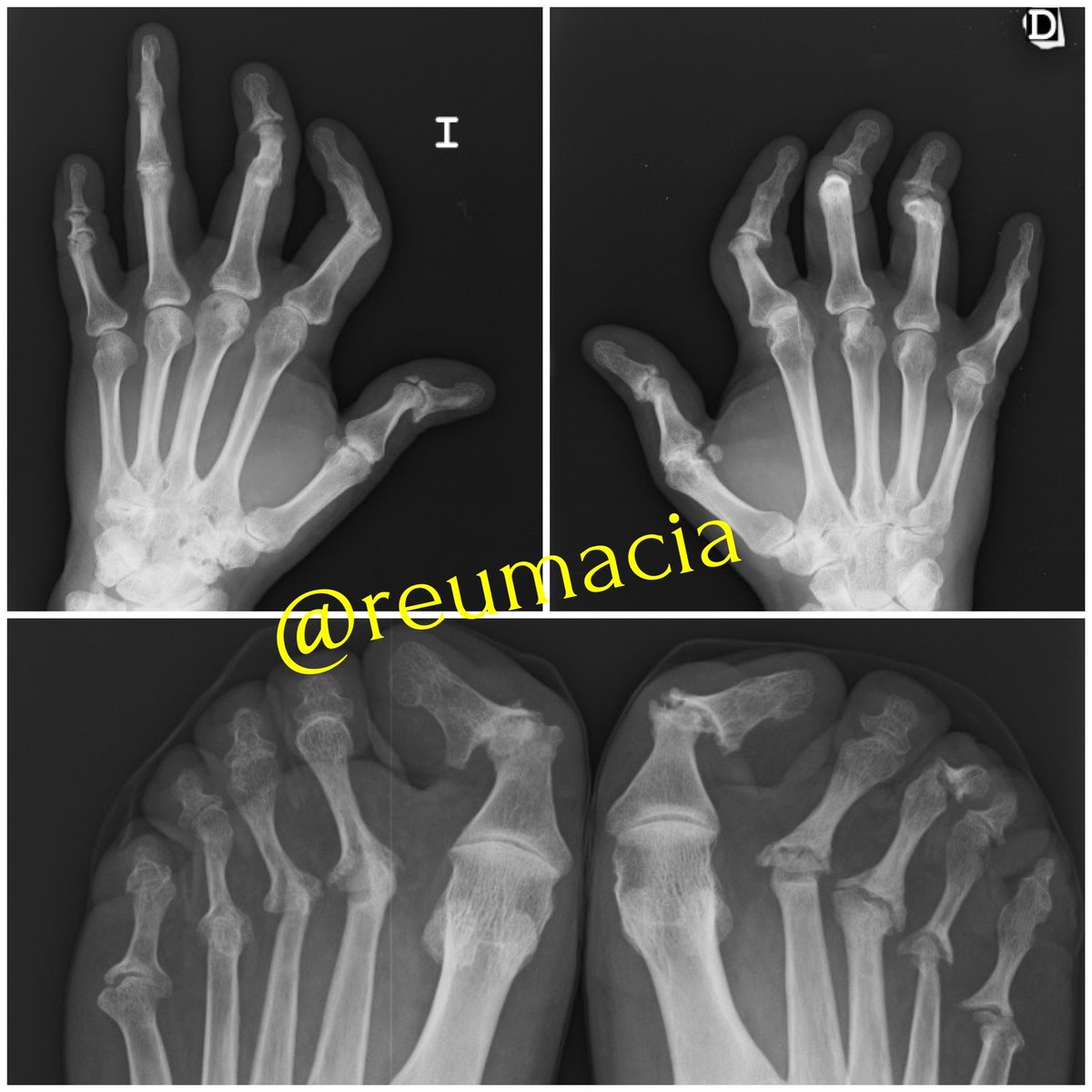 Cristina Macía tweet media