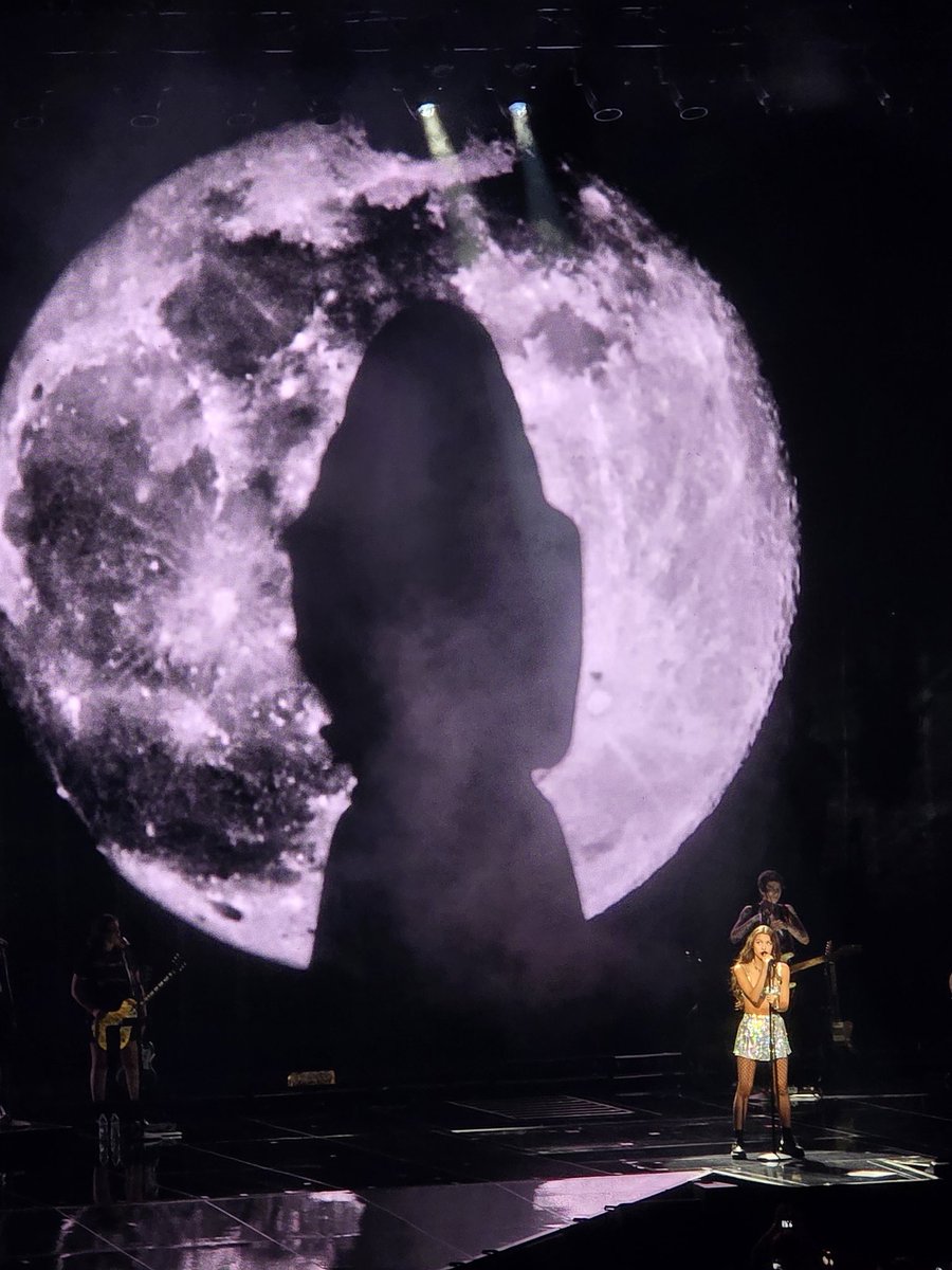 catonbus 🐱🚌 now on bsky tweet media