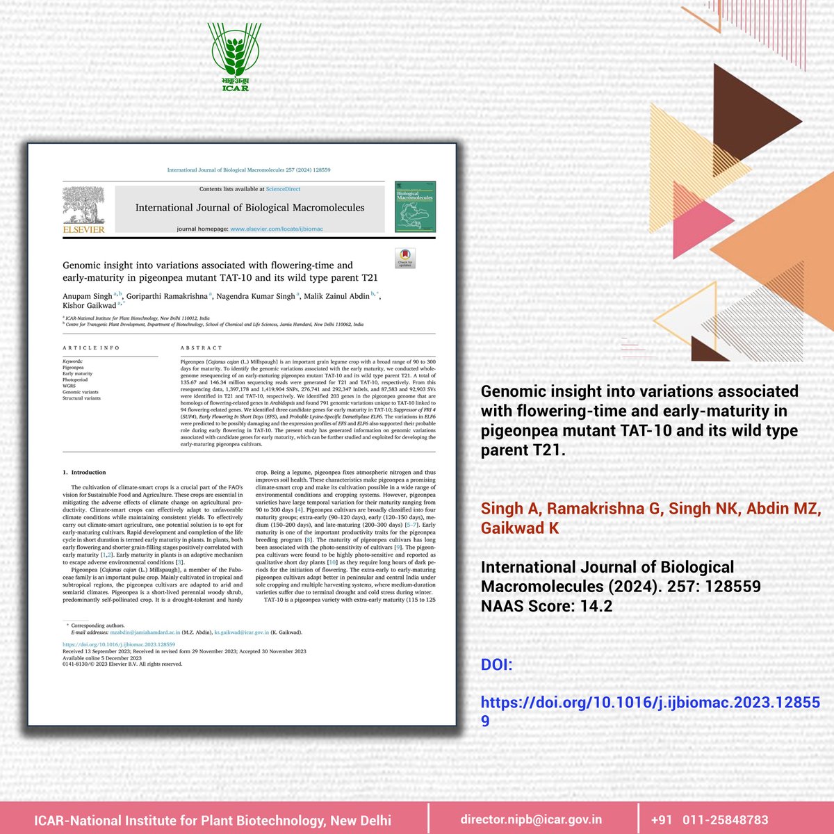 icarindia's tweet photo. Genomic insight into variations associated with flowering-time and early-maturity in pigeonpea mutant TAT-10 and its wild type parent T21.
https://t.co/NFV096WdZW 
 #OneICAR #OneProductOneDay #Publication
@PMOIndia @PIB_India @AgriGoI
@ChouhanShivraj https://t.co/Xb8WSohjPi