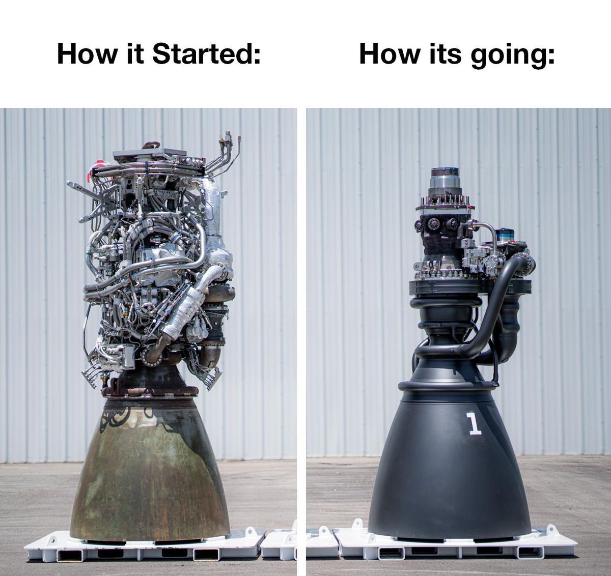 DogeDesigner tweet media