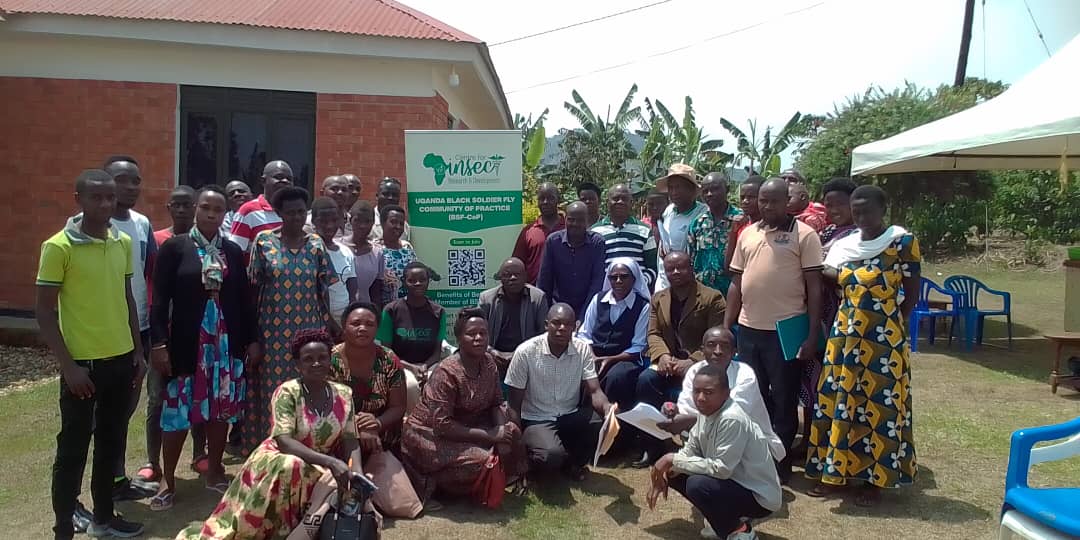 CIRD_Insects's tweet photo. On 3rd CIRD team trained 52 farmers in commercial black soldier fly farming. The team has now moved to Ibanda district. This is country wide mobilisation of communities to start bsf farming #icipe #bsf #cird #peerusaid #usaidugaanda https://t.co/Hxp5X55F3G