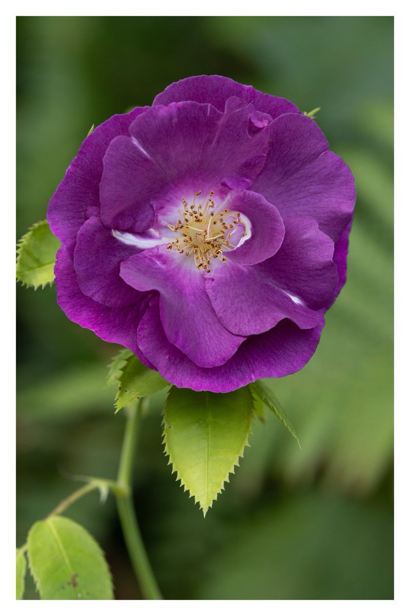 Brian Crosby tweet media