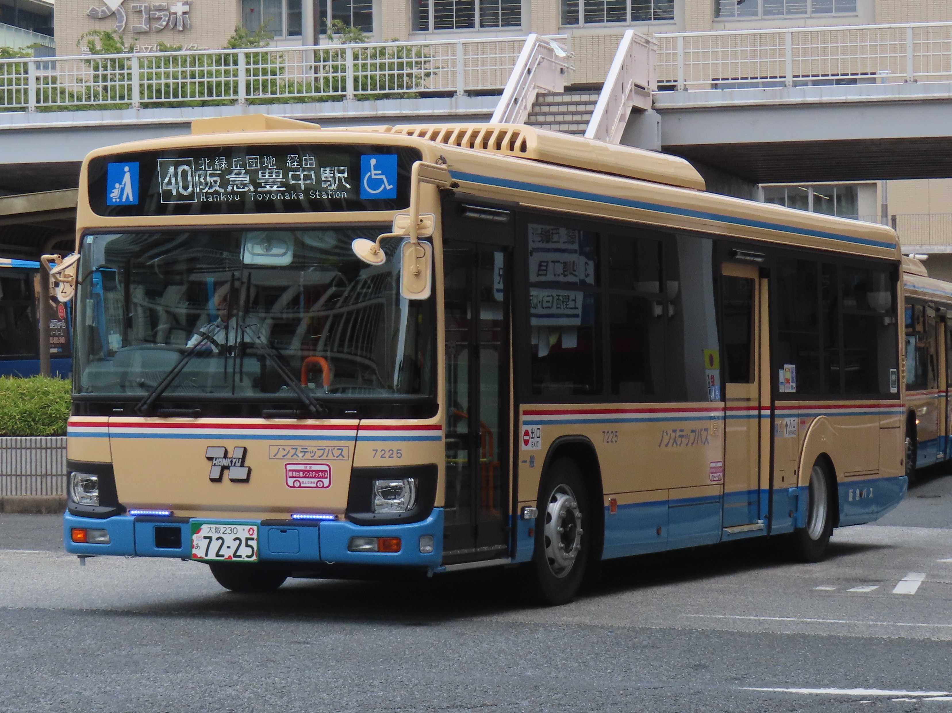★Ｎ25★さん専用 ハス✖️3、夜の秘密✖️1、クレオパトラ✖️3 Takeshin on X: 