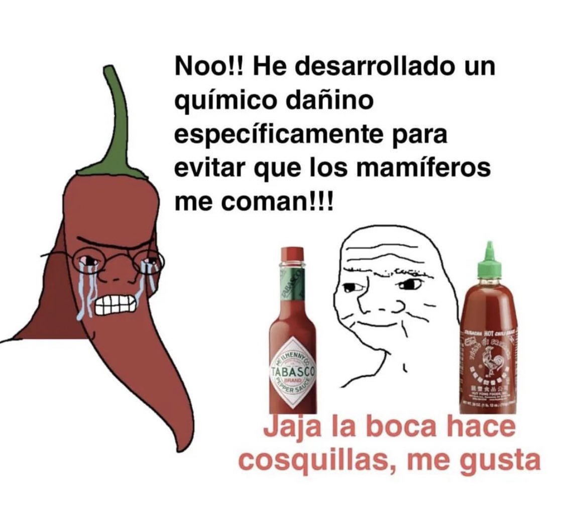 Ana_LaPatata tweet media