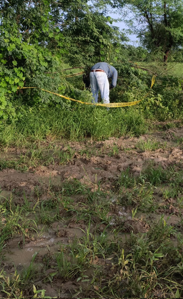 इस वक्त की बड़ी घटना जलालपुर थाना छेत्र  रहटिया गांव में खेतों में युवती को काट के झाड़ में फेका प <a href="/Uppolice/">UP POLICE</a> <a href="/hamirpurpolice/">HAMIRPUR POLICE</a> <a href="/ADGZonPrayagraj/">ADG Zone Prayagraj</a>
