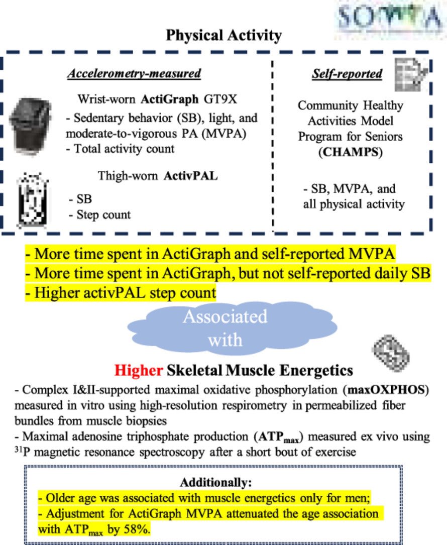 JSHS_MedHealth's tweet photo. Associations of accelerometry-measured and self-reported physical activity and sedentary behavior with skeletal muscle energetics

https://t.co/9Hlz2ddLzq https://t.co/mkRgBOqoB9