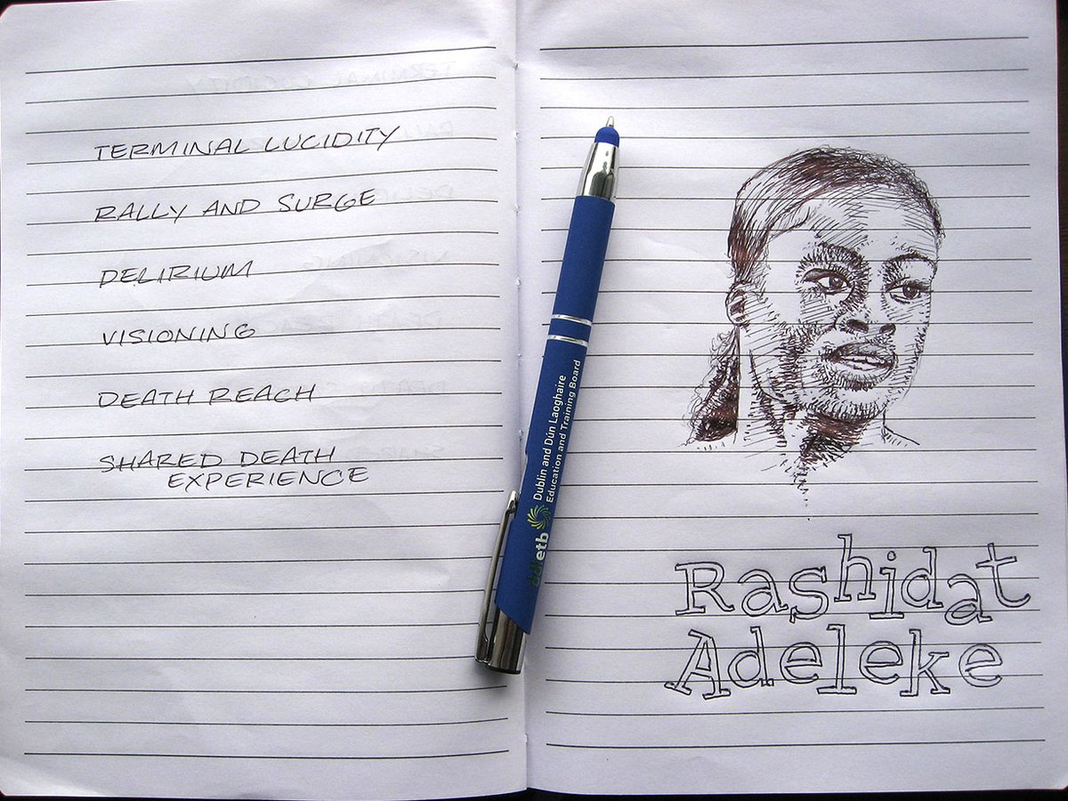 ComicsWendy's tweet photo. Misapplied the @TallaghtTC pen and notebook on a course recently. Go, go, go, @rhasidatadeleke! https://t.co/PqOPVHuoD8
